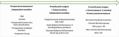 Subjective perception of activity level: A prognostic factor for developing chronic dizziness after vestibular schwannoma resection?